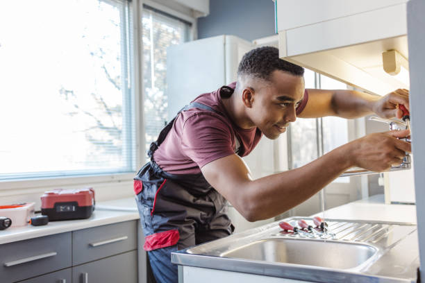 Best Plumbing Services Near Me  in Osceola, MO
